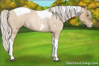 Horse Color:Silver Blue Roan Pearl Tobiano Frame