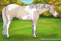 Horse Color:Silver Blue Roan Pearl Tobiano Frame