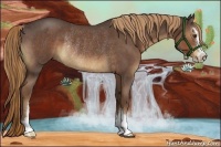 Horse Color:Liver Red Roan Sabino Rabicano