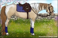 Horse Color:Liver Red Dun Pearl Tobiano