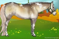 Horse Color:White Spotted Liver Red Onyx