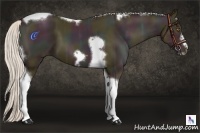 Horse Color:Midnight Silver Black Ice Pearl Tobiano Frame 