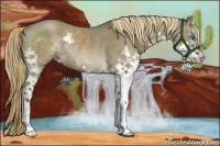 Horse Color:Liver Red Dun Sabino Splash Rabicano Brindle