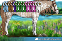 Horse Color:Liver Red Dun Sabino Brindle