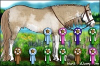 Horse Color:Liver Red Dun Sabino Brindle