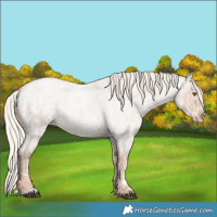 Horse Color:Silver Blue Ice Roan Pearl 