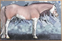 Horse Color:Buckskin Pearl Dun Splash Rabicano Brindle 