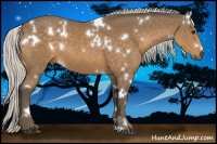 Horse Color:White Spotted Silver Buckskin