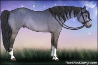 Horse Color:Brown Dun Rabicano Brindle 