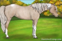 Horse Color:Silver Blue Roan Pearl Tobiano Frame 