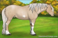 Horse Color:Silver Blue Roan Pearl Tobiano Frame