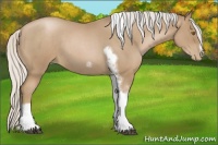 Horse Color:Silver Blue Roan Pearl Tobiano Frame 