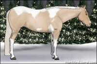 Horse Color:Silver Blue Roan Pearl Tobiano Frame 