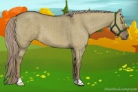 Horse Color:Chocolate Palomino Dun Brindle 