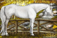 Horse Color:Gray Silver Blue Roan Pearl Tobiano Frame 