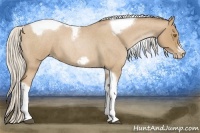 Horse Color:Silver Blue Roan Pearl Tobiano Frame 