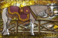 Horse Color:Silver Blue Roan Tobiano 