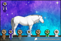Horse Color:Black Ice Sabino