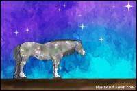 Horse Color:Nacre Black Ice Sabino Rabicano
