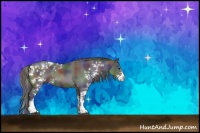 Horse Color:Nacre Black Sabino Rabicano 