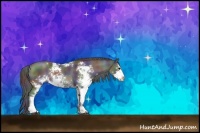 Horse Color:Nacre Black Sabino Rabicano 