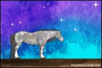 Horse Color:Nacre Black Ice Sabino Rabicano