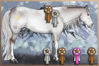 Horse Color:White Spotted Chocolate Silver Brown Chinchilla Tobiano Frame