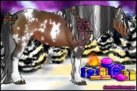 Horse Color:White Spotted Brown 