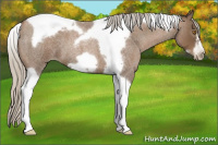 Horse Color:Gray Silver Blue Roan Pearl Tobiano Frame