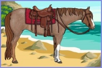 Horse Color:Red Roan 