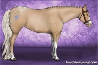 Horse Color:Silver Blue Roan Pearl Tobiano Frame 