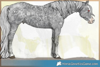 Horse Color:Silver Black Chinchilla Ice Splash 