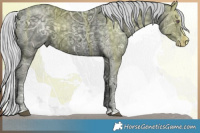 Horse Color:Silver Black Chinchilla Ice Splash 