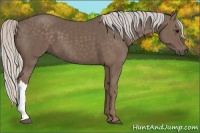 Horse Color:Silver Black 
