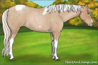 Horse Color:Silver Blue Roan Pearl Tobiano Frame 