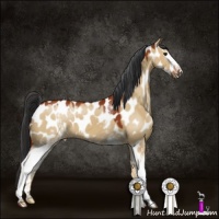 Horse Color:White Spotted Brown Dun Leopard 