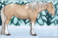 Horse Color:Silver Blue Roan Pearl Tobiano Frame 