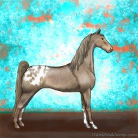 Horse Color:Liver Red Dun Appaloosa 