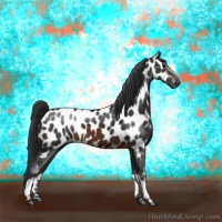 Horse Color:White Spotted Brown Appaloosa
