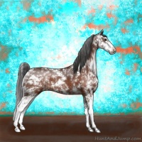 Horse Color:Brown Sabino Rabicano