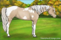 Horse Color:Silver Blue Roan Pearl Tobiano Frame