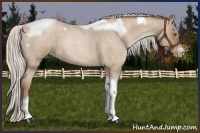 Horse Color:Silver Blue Roan Pearl Tobiano Frame
