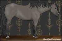 Horse Color:Grullo Sabino 