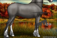 Horse Color:Grullo Sabino