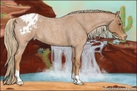 Horse Color:Red Roan Appaloosa