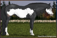 Horse Color:Black Frame 