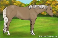 Horse Color:Silver Smoky Black 