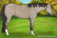 Horse Color:Smoky Grullo Roan 
