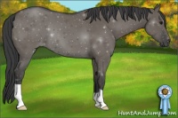 Horse Color:Smoky Grullo 