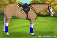 Horse Color:Buckskin Roan Splash 